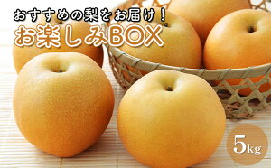 yӂ邳Ɣ[ŁzyBOX ߂̗͂  7 Zbg lߍ킹 L H  V V Ñ ɂ Ȃ iV a ʕ  t[c {̃t[c {̉ʕ fU