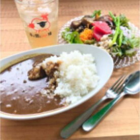 【ふるさと納税】ジビエカレー2人分 惣菜 洋食 レトルトカレー 鹿肉 猪肉 湯煎調理 温めるだけ ランチ お昼ご飯 夕飯 ジビエ料理