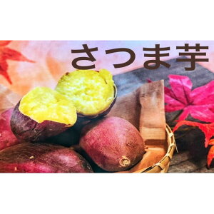 yӂ邳Ɣ[Łz܂iVNXC[gj    H Ă VՂ Y {Y @͂F2026N1{`4{