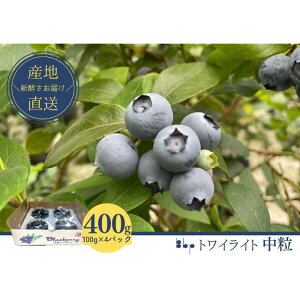 【ふるさと納税】【先行予約】フレッシュブルーベリー (トワイライト中粒100g×4) 果物 フルーツ 国産フルーツ 朝摘みブルーベリー 上品な香り 国産ブルーベリー  お届け:2026年4月20日〜