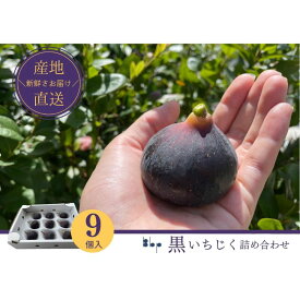 【ふるさと納税】【先行予約】黒いちじく詰め合わせ　9個入り 果物 フルーツ 国産 希少品種 幻の黒いちじく ジューシー 濃厚 上品な甘さ 　お届け：2026年8月10日～10月10日