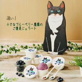 【ふるさと納税】ジェラート 濃い!小さなブルーベリー農園のご褒美ジェラート ブルーベリー アイス ミルク 濃厚 セット スイーツ デザート 冷凍 ご褒美 ギフト プレゼント 贈り物 お取り寄せ 成田市 千葉県