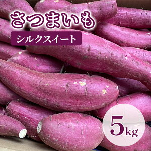 yӂ邳Ɣ[Łzy󂠂z܂5kgiVNXC[gj Tc}C F Ă ₫ LC VՂ w  XC[c XC[g|eg _ Yn cs t