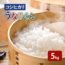 【ふるさと納税】米【令和7年度産】「コシヒカリ」うなりくん 5kg 白米 精米 米 こしひかり 成田市 千葉県