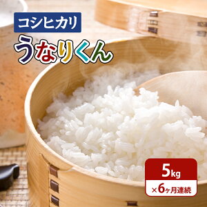 yӂ邳Ɣ[Łzāyߘa7NxYz6A͂uRVqJvȂ肭5kg     Ђ cs t