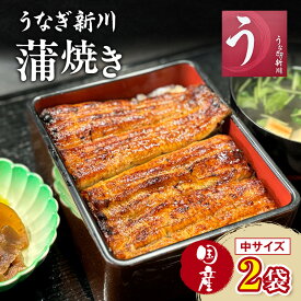 【ふるさと納税】うなぎ新川 蒲焼き（国産中サイズ）2袋入り 鰻 うなぎ蒲焼 蒲焼 国産 国産うなぎ 三河一色産 タレ付き うな重 冷凍 成田市 千葉県