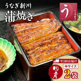 【ふるさと納税】【年3回お届け】定期便 うなぎ新川 蒲焼き（国産中サイズ）2袋入り 鰻 うなぎ蒲焼 蒲焼 国産 国産うなぎ 三河一色産 タレ付き うな重 冷凍 成田市 千葉県