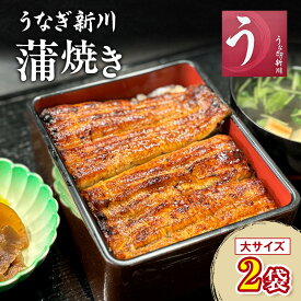 【ふるさと納税】うなぎ新川 蒲焼き（大サイズ）2袋入り 　鰻 うなぎ蒲焼 蒲焼 タレ付き うな重 冷凍 成田市 千葉県