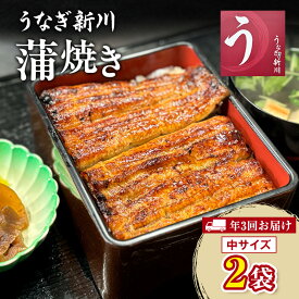 【ふるさと納税】【年3回お届け】定期便 うなぎ新川 蒲焼き（中サイズ）2袋入り 　鰻 うなぎ蒲焼 蒲焼 タレ付き うな重 冷凍 成田市 千葉県