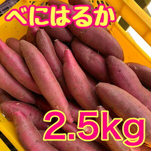 yӂ邳Ɣ[Łzׂɂ͂邩2.5kg@g͂邩 Tc}C ܂  t cs@͂F2026N3{܂