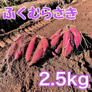 yӂ邳Ɣ[Łzӂނ炳2.5kg@Tc}C ܂  t cs@͂F2026N3{܂