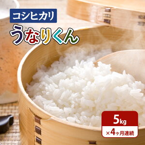 yӂ邳Ɣ[Łz yߘa7NxYz4A͂uRVqJvȂ肭5kg Ђ RVqJ Zbg     cs t