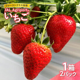 【ふるさと納税】JALの直営農園からお届け ファーストクラス採用の「JAL Agriportのいちご」1箱 2パック いちごイチゴ 朝採り ファーストクラス 機内食 成田市 千葉県　お届け：2025年12月下旬～2026年2月28日まで