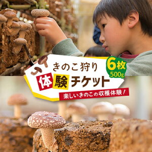yӂ邳Ɣ[Łẑ̌`Pbg×6(500g)y1288606z