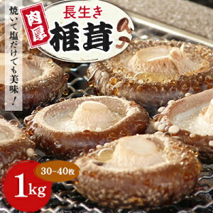 yӂ邳Ɣ[ŁzĂĉł!uvő1kg(30`40)×1pbNyzsnFzy1288620z