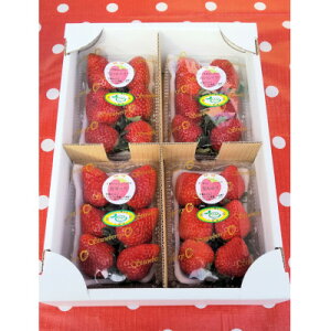 �y�ӂ邳�Ɣ[�Łz���q������4�p�b�N�Z�b�g�y�z���s�n��F�����E�k�C���E���ꌧ�E���k�E�����E�l���E��B�z�y1353720�z