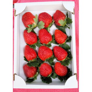 �y�ӂ邳�Ɣ[�Łz���q�������f���b�N�X�y�z���s�n��F�����E�k�C���E���ꌧ�E���k�E�����E�l���E��B�z�y1353721�z