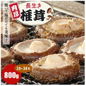 yӂ邳Ɣ[ŁzĂĉł!uvő800g(24`34)×1pbNyzsnFzy1665538z