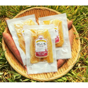 yӂ邳Ɣ[ŁzV q̗L@ v300gy1676400z