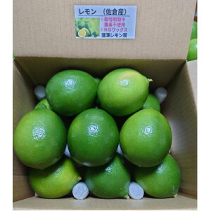 yӂ邳Ɣ[Łz@1.5kg(8`15)y1682695z