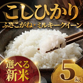 【ふるさと納税】 新米 こしひかり ミルキークイーン ふさこがね 5kg 米 お米 こめ コメ コシヒカリ 白米 ごはん ご飯 おこめ okome kome 国産 精米 おすすめ kosihikari ※ ブランド米 美味しい ツヤ 甘い 肉 魚 にあう 炊飯 おむすび おにぎり 鍋屋商店 千葉県 東金