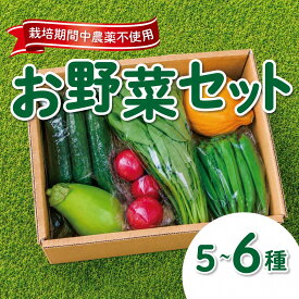 【ふるさと納税】 野菜セット 5~6品目 野菜 やさい 詰め合わせ 詰合せ おやさい 農薬 栽培期間中不使用 玉ねぎ にんじん 大根 じゃがいも ズッキーニ ビーツ オクラ ピーマン 落花生 枝豆 そら豆 美味しい おすすめ 新鮮 やさいせっと 産地直送 千葉 東金 みろく農場