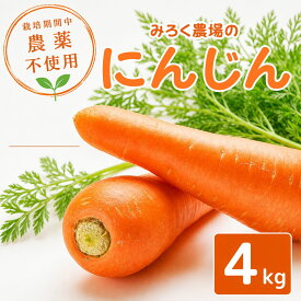 【ふるさと納税】 にんじん 約4kg 【2026年12月上旬～2027年3月発送】 人参 ニンジン 野菜 やさい おやさい 国産 農薬 栽培期間中不使用 甘い ジュース にも 旬 おすすめ 新鮮 先行予約 特産 産地直送 千葉 東金 みろく農場