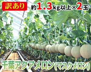 yӂ邳Ɣ[ŁzNo.062 y1.3kgȏ×2ʁz󂠂tANAi}XNj ^ ʕ t[c   t