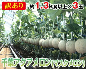 yӂ邳Ɣ[ŁzNo.071 y1.3kgȏ×3ʁz󂠂tANAi}XNj ^ ʕ t[c   t