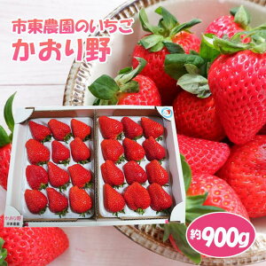 �y�ӂ邳�Ɣ[�ŁzNo.074 �y�s���_���̂������z�������@��900g �^ �t���[�c �C�`�S � �������� ��t��