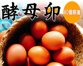 【ふるさと納税】No.088 酵母卵 ／ たまご タマゴ 送料無料 千葉県
