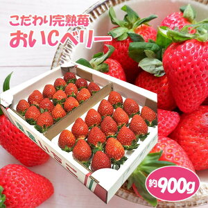 �y�ӂ邳�Ɣ[�ŁzNo.154 ������芮�n䕁i����C�x���[�j900g �^ ���n ������ �C�`�S �ʕ� �t���[�c �������� ��t��