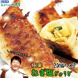 【ふるさと納税】No.341 東金極楽ねぎ塩ぎょうざ2袋セット　20個入×2 ／ 餃子 惣菜 ギョウザ ギョーザ 中華 ネギ塩 にんにく おつまみ 手軽なおかず 夕飯 昼食 レストランの味 東金市 千葉県 送料無料 千葉県