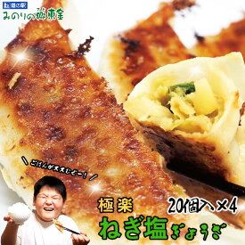 【ふるさと納税】No.344 東金極楽ねぎ塩ぎょうざ4袋セット　20個入×4 ／ 餃子 惣菜 ギョウザ ギョーザ 中華 ネギ塩 にんにく おつまみ 手軽なおかず 夕飯 昼食 レストランの味 東金市 千葉県 送料無料 千葉県