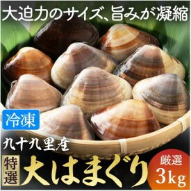 【ふるさと納税】 はまぐり 3kg 天然 国産 大サイズ 蛤 ハマグリ 九十九里 九十九里産 瞬間冷凍 鮮度 砂抜き 味噌汁 酒蒸し グラタン だし ダシ 出汁 クラムチャウダー 炊き込みご飯 旨味 贅沢 漁師直送 厳選 贈答用 ギフト プレゼント 贈答 お取り寄せ 不動丸 千葉県 旭市