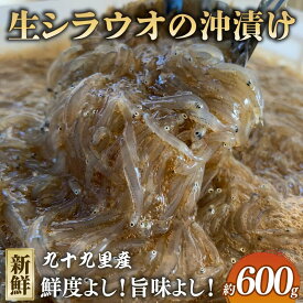 【ふるさと納税】 生シラウオ 沖漬け 600g (100g×6P) 1パック2人前 白魚 シラウオ 沖漬け 小魚 醤油 タレ 無添加 魚介 海の幸 海 魚 プレゼント 贈答 お祝い 送料無料 ふるさと納税 飯岡ヤマイチ水産-大納屋- 千葉県 旭市