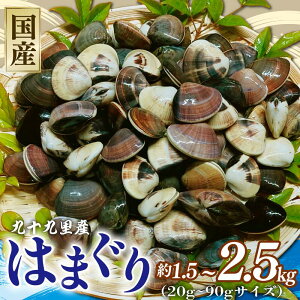 yӂ邳Ɣ[Łz ͂܂ Iׂ  1.5kg 2kg 2.5kg Ⓚ \㗢 \㗢Y VR  Ⓚ  ^pbN ۑ X`  O^  _V o` N`E_[ 