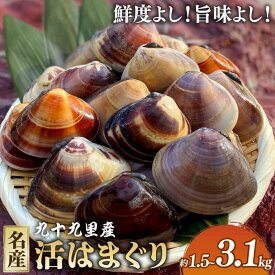 【ふるさと納税】 【某TV番組で全国1位になった 大粒 活 はまぐり 】 大粒活はまぐり 活はまぐり 約 1.5kg 約 2kg 約3.1kg 九十九里産 国産 貝 大はまぐり 砂抜き 魚 水産 海鮮 贈答 ギフト プレゼント 九十九里 魚介類 送料無料 旭 飯岡ヤマイチ水産-大納屋- 千葉県 旭市