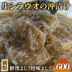 【ふるさと納税】 生シラウオ 沖漬け 600g (100g×6P) 1パック2人前 白魚 シラウオ 沖漬け 小魚 醤油 タレ 無添加 魚介 海の幸 海 魚 プレゼント 贈答 お祝い 送料無料 ふるさと納税 飯岡ヤマイチ水産-大納屋- 千葉県 旭市