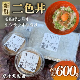 【ふるさと納税】 二色丼 生シラウオ沖漬け 釜揚げしらす 各3パック 合計600g セット しらす 白魚 シラウオ しらうお 釜揚げ 沖漬け 海鮮丼 魚介類 無添加 魚介 ギフト お祝い 送料無料 飯岡ヤマイチ水産-大納屋- メディア 千葉県 旭市