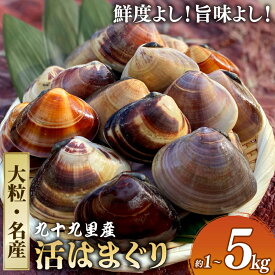 【ふるさと納税】 【TV番組で全国1位！】 大粒活はまぐり 活はまぐり 約 1 / 1.5 / 2 / 3.1 / 4 / 5kg 九十九里産 国産 貝 大はまぐり 砂抜き 魚 水産 海鮮 贈答 ギフト ふるさと納税はまぐり ハマグリ 九十九里 送料無料 旭 飯岡ヤマイチ水産-大納屋- 千葉 千葉県 旭市