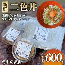 【ふるさと納税】 二色丼 生シラウオ沖漬け 釜揚げしらす 各3パック 合計600g セット しらす 白魚 シラウオ 釜揚げ 沖漬け 海鮮丼 魚介類 無添加 魚介 ギフト お祝い 送料無料 ふるさと納税 飯岡ヤマイチ水産-大納屋- メディア 千葉県 旭市