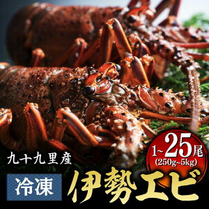 yӂ邳Ɣ[Łz Y Ⓚ ɐCV ( hg p ) Iׂ  250g ~ 5kg [250g/1] `[5kg/15]25] CZGr Gr }Ⓚ uԗⓀ ^ H p  VN  lC Mtg v[