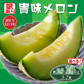 【ふるさと納税】 2026 年発送 訳あり メロン 先行予約 貴味メロン 青肉 選べる 約5.5kg / 約10kg めろん melon 青肉メロン タカミメロン 10000円 1万円 糖度 高級 果物 くだもの フルーツ 旬 贈答 ギフト 贈答用 プレゼント 産地直送 送料無料 千葉県 旭市 たかの果樹園