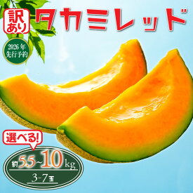 【ふるさと納税】 【 2026年発送 先行予約 】 訳あり メロン 赤肉 選べる 約5.5kg / 約10kg めろん フルーツ 果物 くだもの 訳アリ 傷 産地直送 不揃い 規格外 人気 おすすめ 送料無料 ふるさと ふるさと納税メロン ふるさと納税フルーツ 千葉県 旭市 たかの果樹園