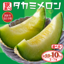 【ふるさと納税】 【 2026年発送 先行予約 】 訳あり メロン 青肉 選べる 約5.5kg / 約10kg めろん フルーツ 果物 くだもの 訳アリ 傷 産地直送 不揃い 規格外 人気 おすすめ 送料無料 ふるさと ふるさと納税メロン ふるさと納税フルーツ 千葉県 旭市 たかの果樹園