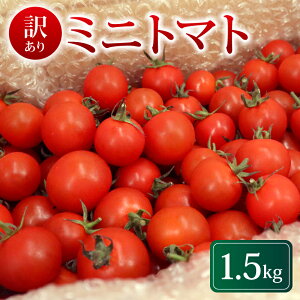 yӂ邳Ɣ[Łz 󂠂 ~jg}g 1.5kg 퉷z 2025N11ȍ~ g}g { VN  ₳ Ė Ƃ܂ ȈՕ  J T_ g}gW[X pX^ ٓ W[V
