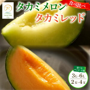 yӂ邳Ɣ[Łz 2025N s\  ^J~ Iׂ  ԓ Zbg 2 ` 4 (3L`6LTCY) 6 7  Yn  Mtg {bNX Hה  uh x ^J~