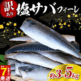 【ふるさと納税】 ＼最短7営業日以内発送／ 高評価 ☆4.44 国産 塩 サバ フィーレ 【 3kg / 5kg 】 （ ふるさと納税 さば 鯖 訳あり ふるさと納税 さば 鯖 ふるさと納税 鯖 フィーレ 国産 ふるさと納税 訳あり さば 鯖 不揃い 魚 切身 海鮮 人気 ランキング 千葉県 旭市 ）