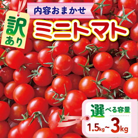 【ふるさと納税】 【訳あり】 品種おまかせ ミニトマト 選べる 約 1.5kg / 3kg とまと トマト みにとまと 完熟 期間限定 冷蔵 常温 プチトマト 野菜 サラダ お弁当 産地直送 新鮮 国産 千葉県産 美容 健康 厳選 おまかせ お楽しみ セット ランダム 千葉県 旭市 Sai10faRM